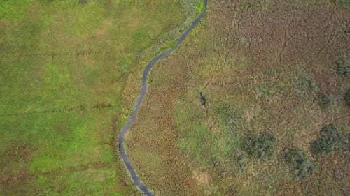Nature Aerial View River Valley Beautiful View From Height of the Rivers and Swamps Green Landscapes