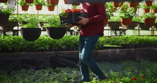 Adult Carries Flowers Through Vibrant Greenhouse