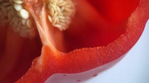 Red Bell Pepper Macro Food Close Up