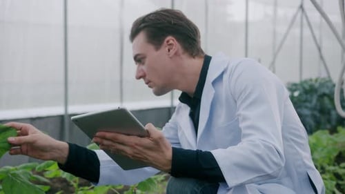 Scientist Examining Plants in Greenhouse with Tablet
