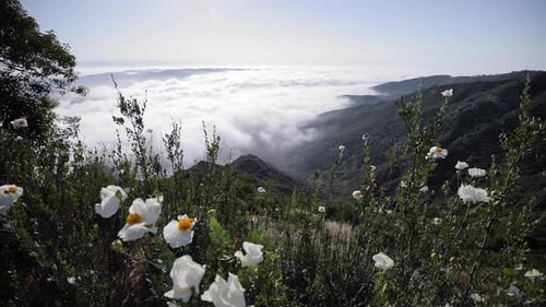 Mountain overlook above the clouds.