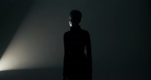 Silhouette of Adult Lit By Spotlight in Dark Room