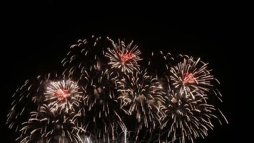 Colorful Fireworks Exploding in the Night Sky