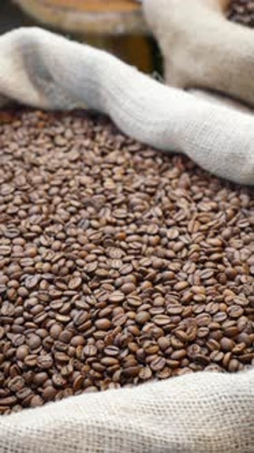A Closeup View of Freshly Roasted Coffee Beans Arranged Beautifully in Jute Sacks