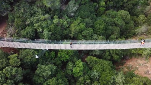 Suspended bridge surrounded by lush green forest, aerial view
