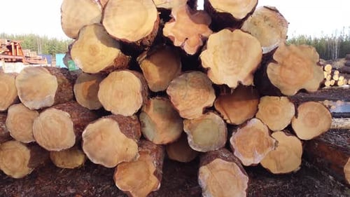 Kippaufnahme der Drohne von Baumstämmen auf einem Holzlager in Finnland