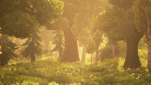 Animated Sunlit Forest Landscape with Dynamic Light Rays