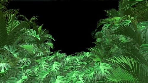Tropicla Leaves Tunnel Hd