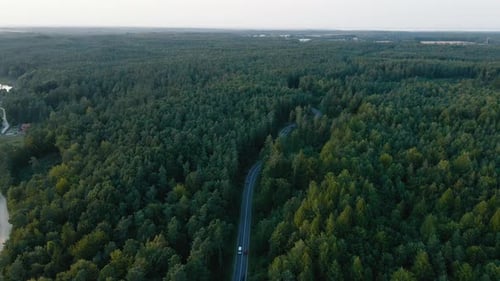Aerial orbit above beautiful highway transportation through remote coniferous forest