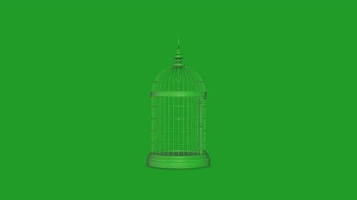 Dark Green Purple Birdcages