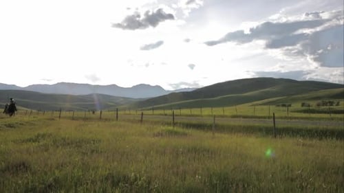 Female Ranchers Horseback Riding in Sunny Rural Field Animals