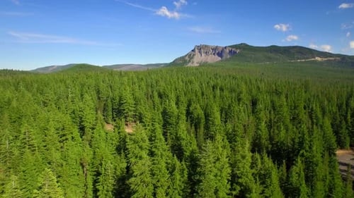 Oregon Mountains Drone View under Blue Sky