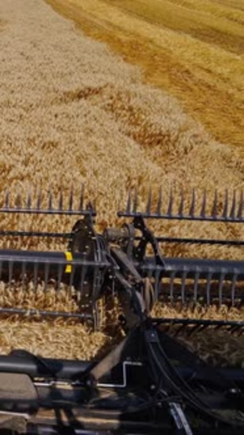 Metal detail of combine harvester. Modern combine harvesting wheat on the field in summer.