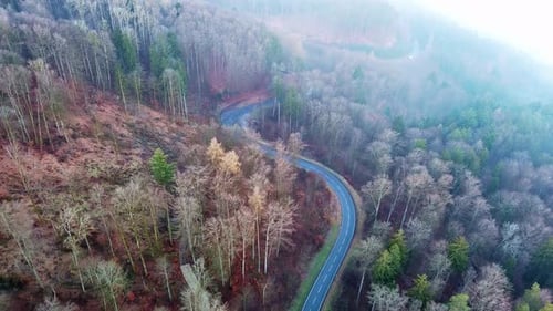 Highway Lies on Slopes of Hills in a Valley with Pine Forests Covered with White Fogs in Sunlight
