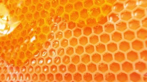 Honeycomb mit Honig
