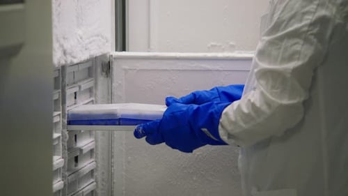 Scientist Examining Blood Samples in a Laboratory Freezer