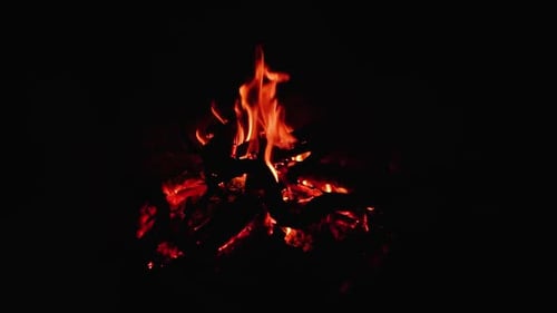 Wood campfire embers burning in dark