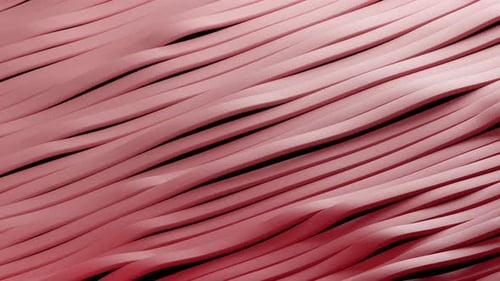Bright Colored Wavy Pattern Abstract Background 3d Seamless Loop