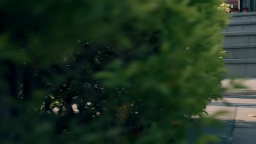 Side View of the Legs of a Businessman Driving to Work