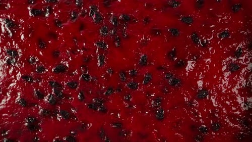 Vibrant Red Dragon Fruit Close Up Zoom Out