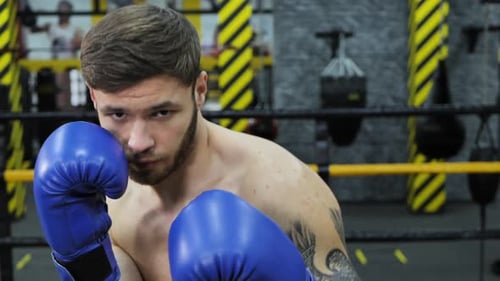 Intense Boxer Training in the Ring