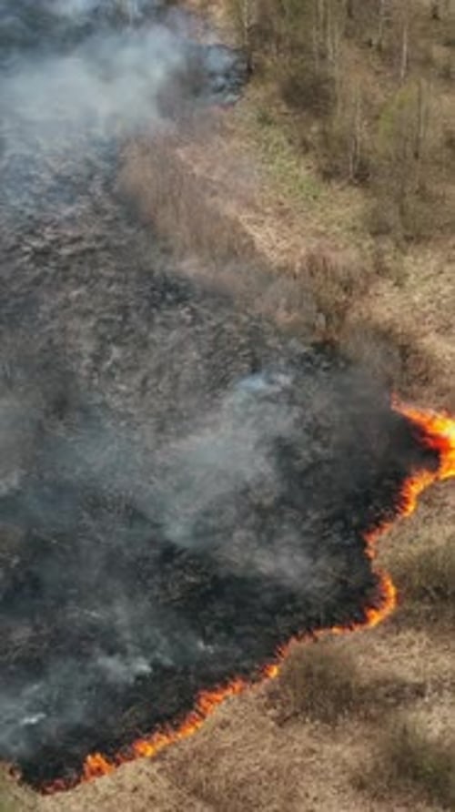 Bush Fire And Smoke Wild