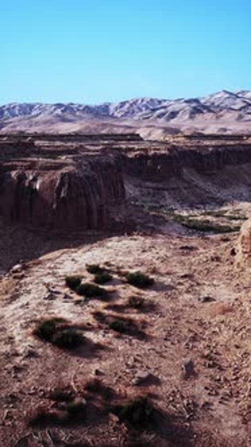 Desert Landscape With Background Mountains