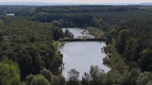 An aerial video of a calm forest lake surrounded by dense greenery. The sunlight reflects on the
