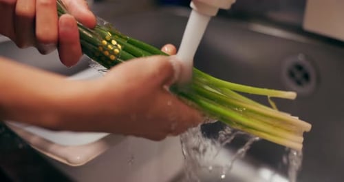 Chef hands, wash spring onion and sink for dirt, virus or bacteria for safety