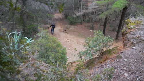 mountain biker skillfully navigates a sharp bend on a rugged dirt track that winds through a dense f