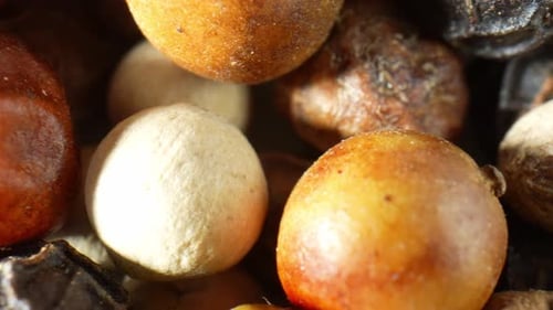 Variety of Colorful Peppercorns Macro Close Up
