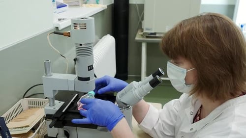 Woman Scientist Using Microscope in Bright Lab