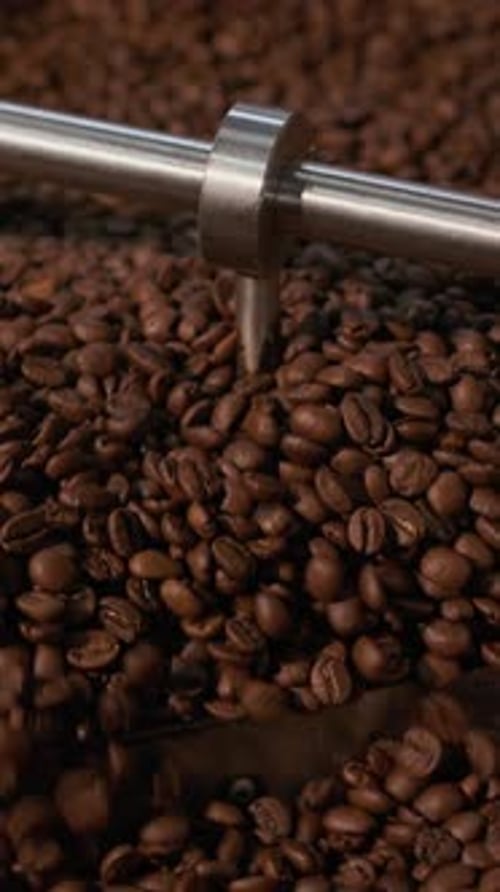 Close-up of Coffee Beans Being Stirred in Industrial Roaster