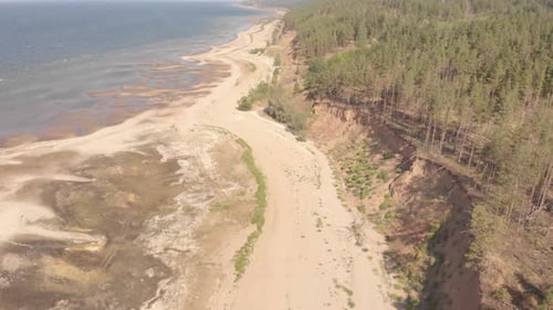 Aerial View of Beach, Forest, and Ocean
