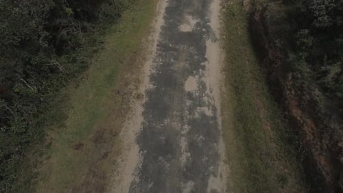 Revealing drone shot of a tropical jungle in Sri Lanka