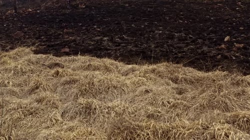 Aerial View of Burnt Forest and Mountainside