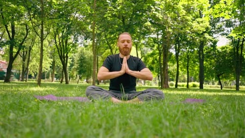 portrait handsome bearded man meditating in the park sitting in the lotus position practicing yoga