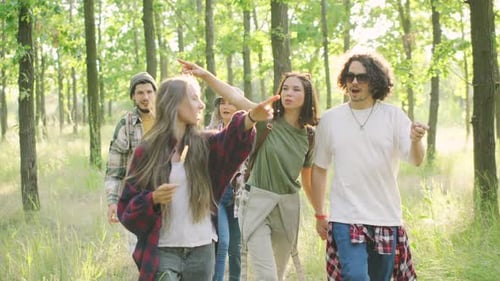 A Group of Joyful Backpacker Friends Happily Strolling Through the Sunset Sunlit Forest Enjoying