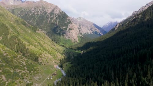 Mountain Valley with River and Dense Pine Forest – Aerial View