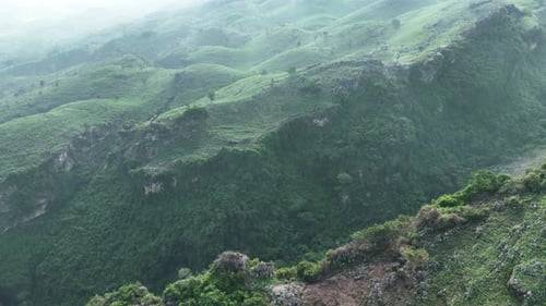 Bird eye view of green hill landscape