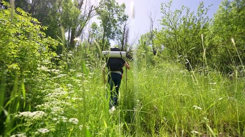 Backpacker Hiking Through Tall Green Grass on Sunny Day