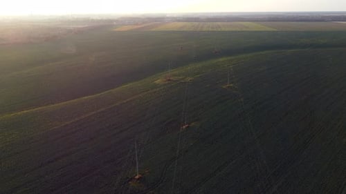 Beautiful Landscape View Agricultural Fields with Green Agroindustrial Plants