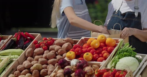 A Woman and Her Granddaughter Sell Vegetables at the Market They Put Tomatoes in a Paper Bag Only