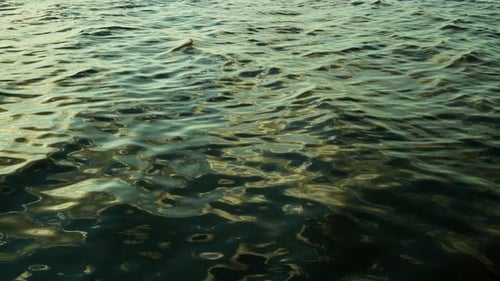 The Pure Sea Water Surface