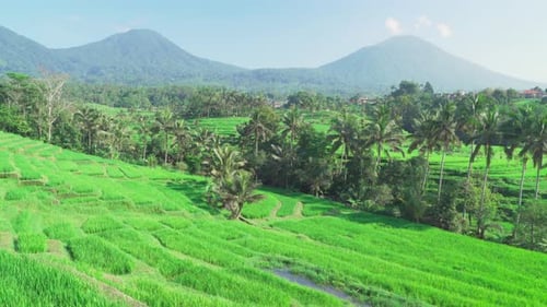 Awesome view of scenic rice terraces in Bali, Indonesia