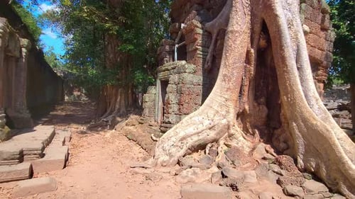 Mysterious Ancient Ruins Ta Prohm Temple Famous Cambodian Landmark