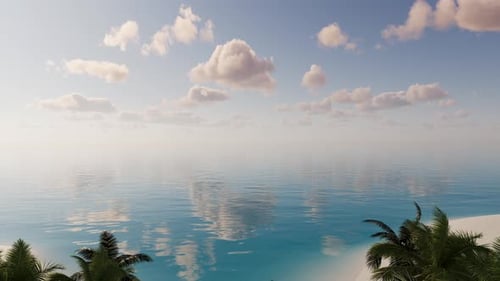 Beautiful summer, tropical landscape near the sea with palm trees, sea and beach.