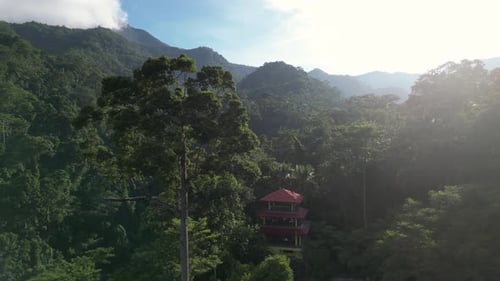 Picturesque Aerial View of Tropical Rainforest on the Mountains in Philippines
