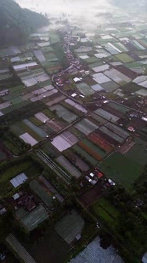 Vidéo verticale par drone d'une vallée de montagne au lever du soleil avec des terres agricoles et des nuages bas à la dérive