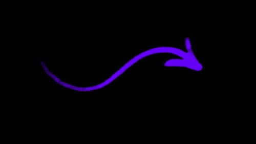 Hand-drawn S-shaped Curved Arrow, Rotatable, Editable Loop Background